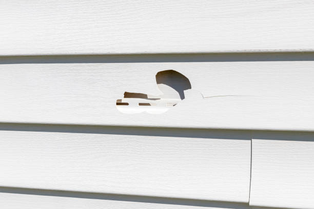 Best Historical Building Siding Restoration  in Camp Barrett, VA